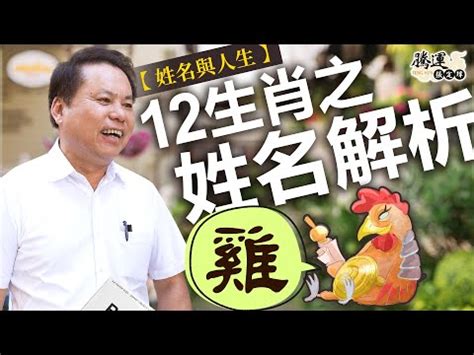 雞名字|【屬雞名字】屬雞名字必看：適合與忌諱用字一次搞懂！